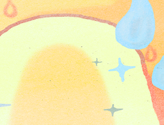 ● 2025. 12.13. (토요일)